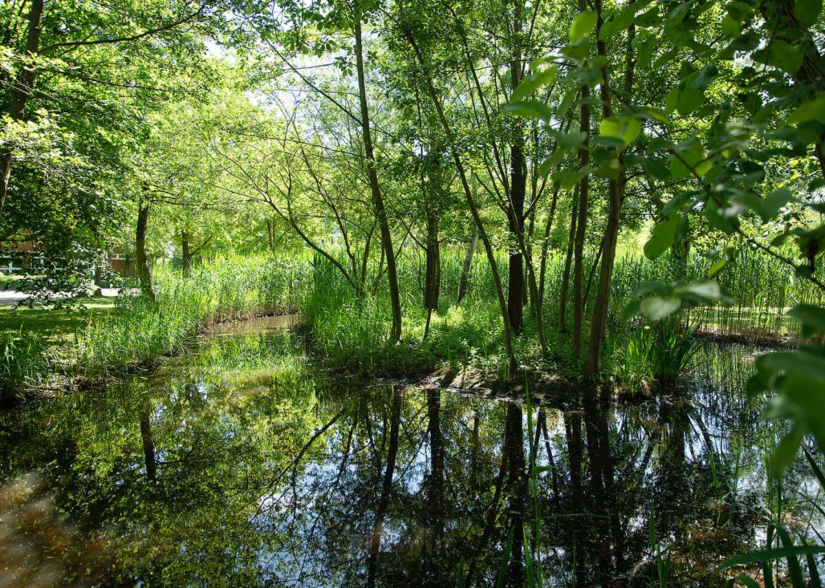 nature on campus Langen