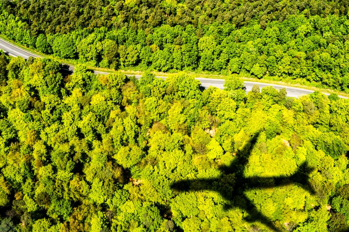 Flugzeugschatten über Wald Flugzeugschatten über Wald
