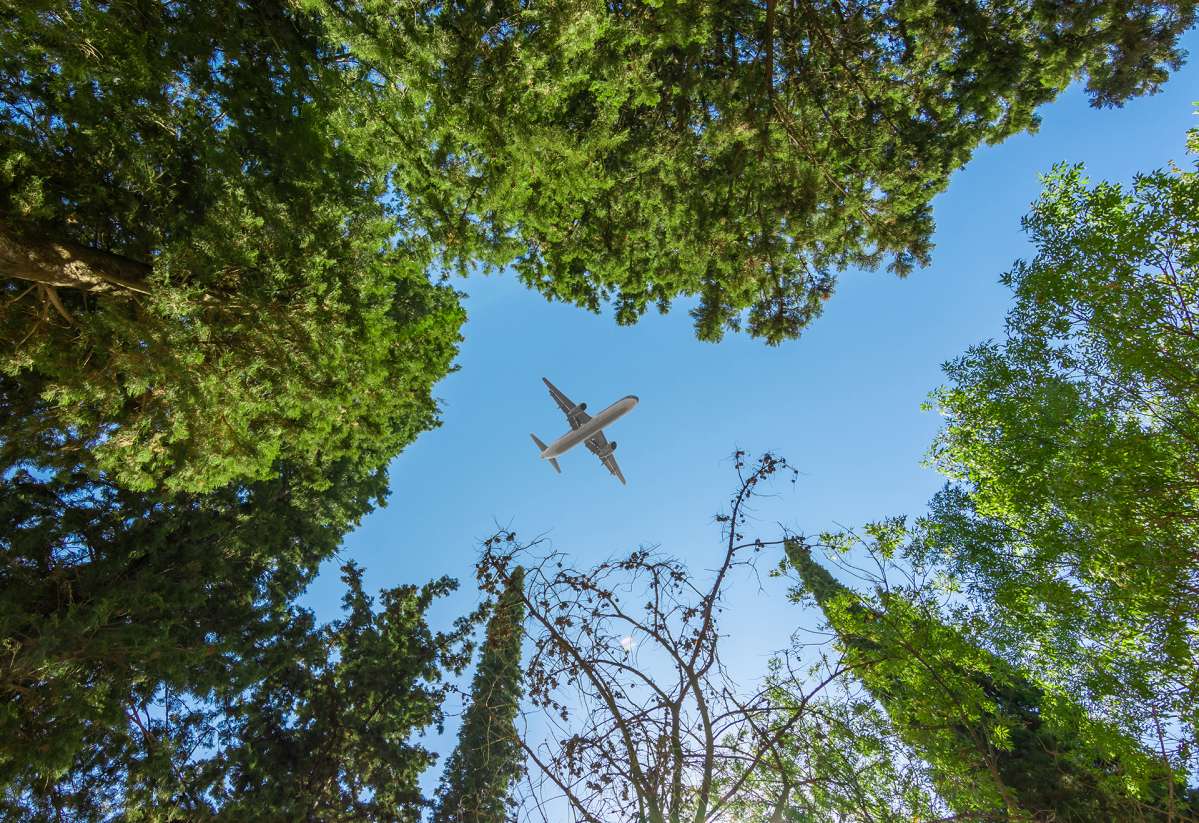 Aircraft shadow over forest